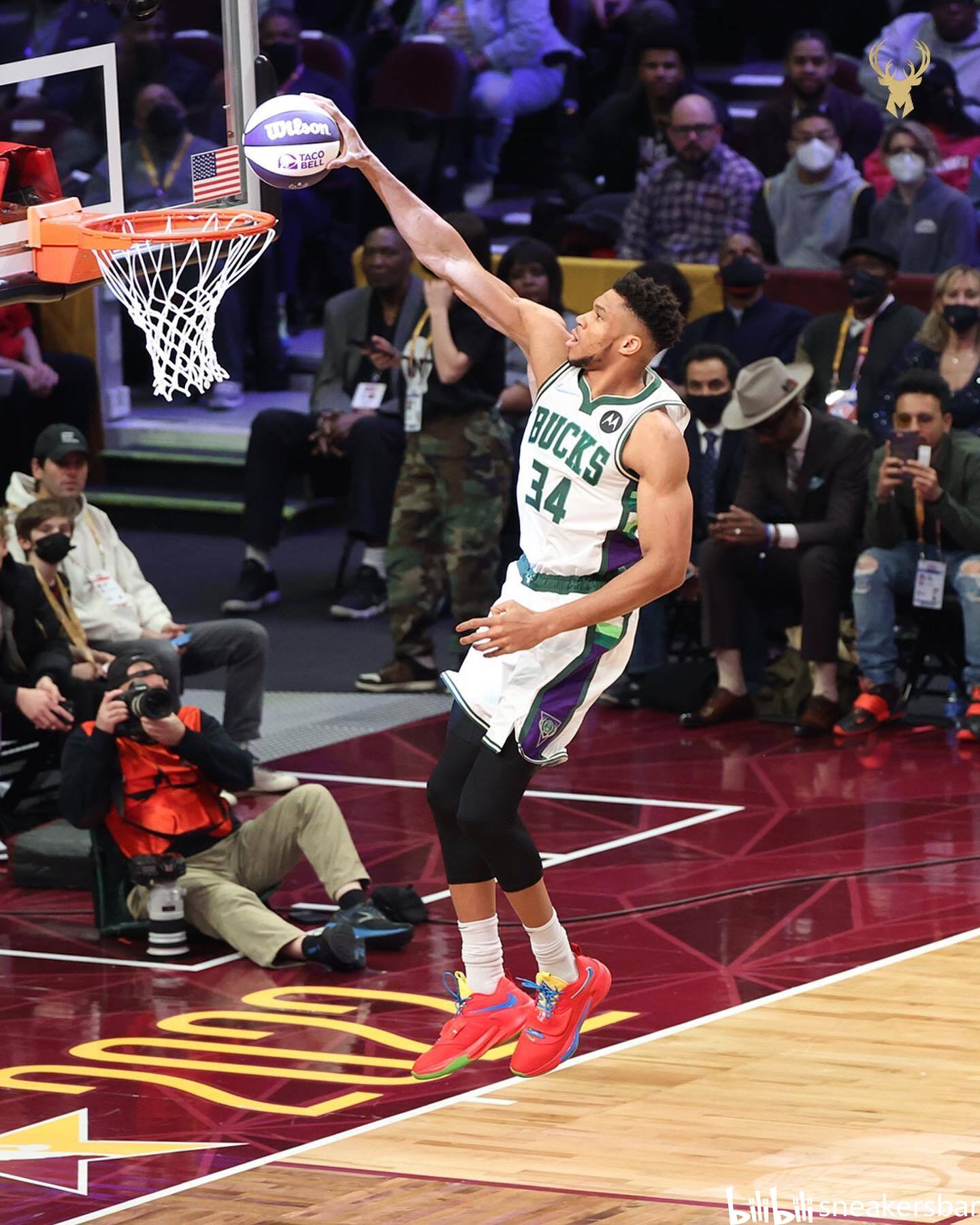 尾部悬挂系 尾部悬挂系