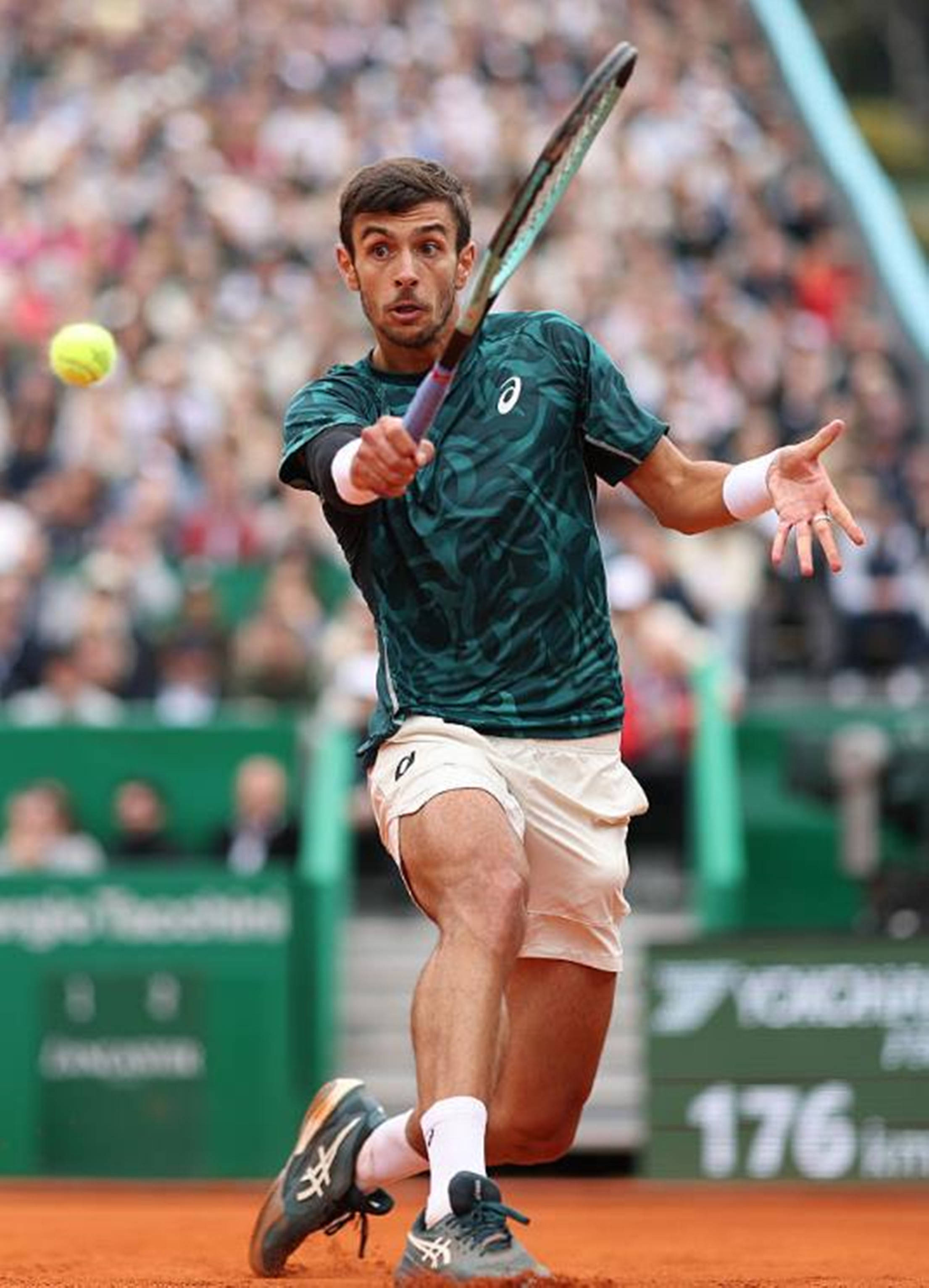 敏度和精准 敏度和精准