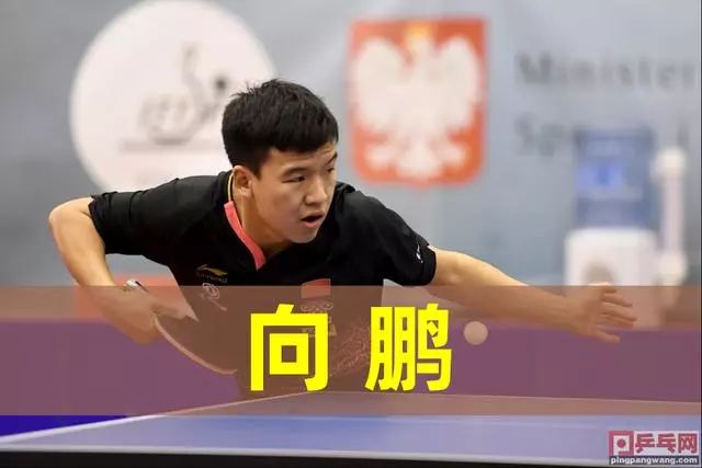 抗的缩影 抗的缩影