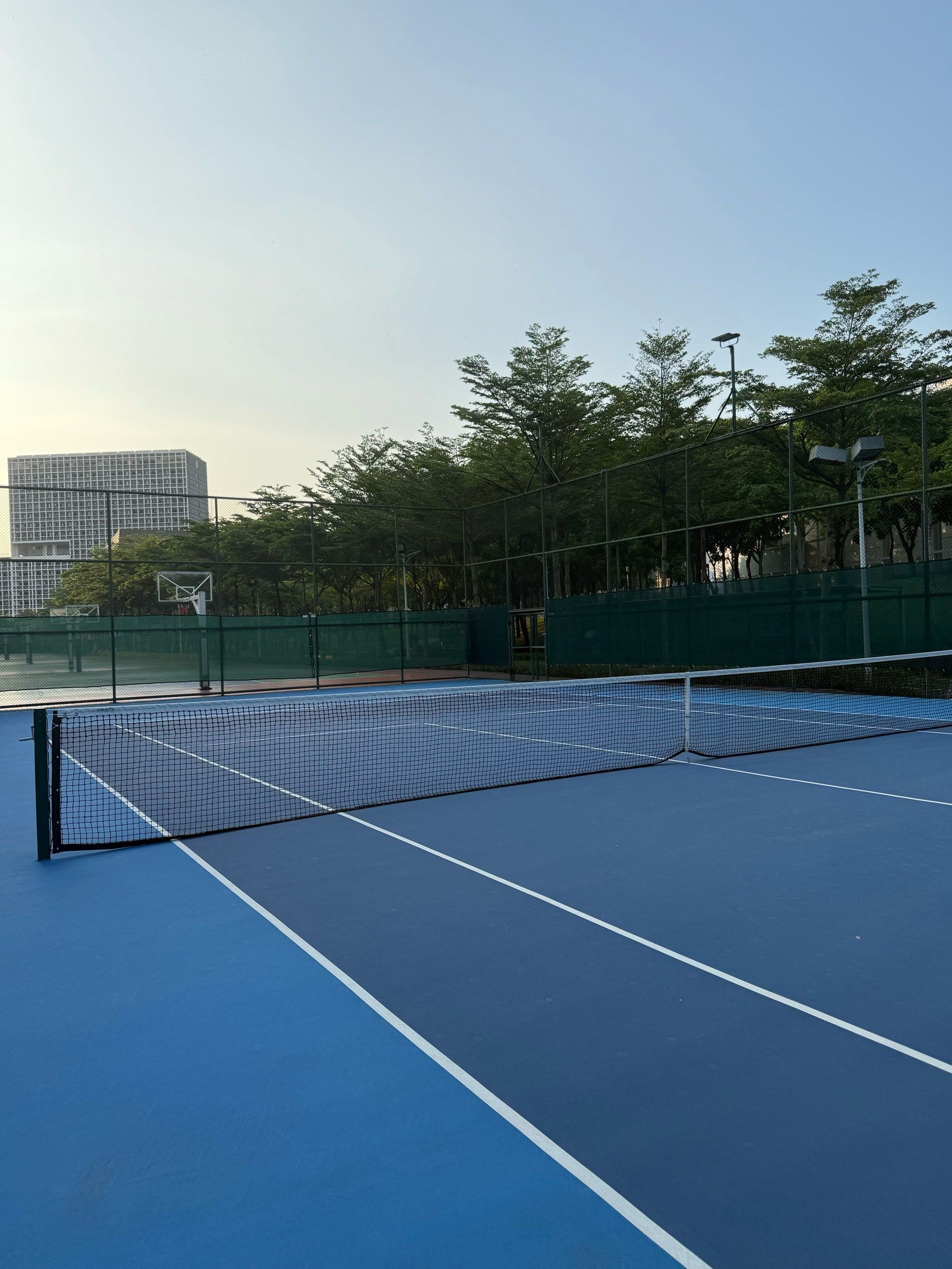 的固定节目 的固定节目